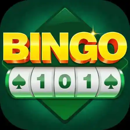 Image for BINGO 101